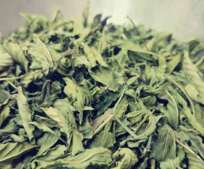 ریحان بنفش سبز خشک صادارتی + قیمت خرید، خواص، کاربرد و مصارف