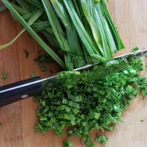 سبزی تره + قیمت خرید فروش