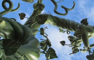 با خوردن سبزی به سرزمین سحر آمیز سفر کنید!!!