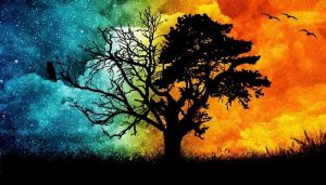 شخصی با مصرف روزانه سبزی 2 متر قد کرد!!