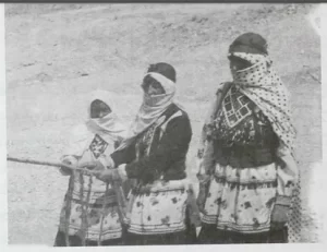 خوردن تره فرنگی راز جوانی زن اول ناصرالدین شاه