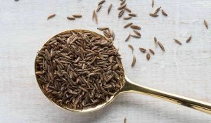 زیره ادویه ای است که از دانه های گیاه زیره سبز تهیه می شود