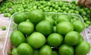 فروش آلوچه سبز امروز در قطب شمال در بین اسکیموها رواج دارد