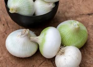 خرید پیاز محلی سفید + قیمت عالی با کیفیت تضمینی