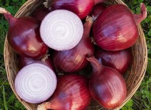 پیاز قرمز تبریز + قیمت خرید، کاربرد، مصارف و خواص