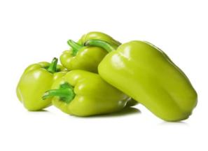 قیمت خرید فلفل دلمه فسفری + مشخصات، عمده ارزان