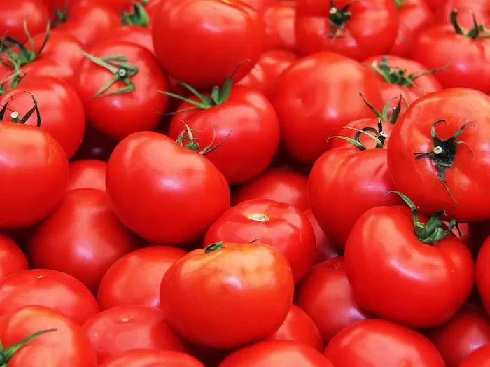 راهنمای خرید گوجه فرنگی درشت + قیمت عالی